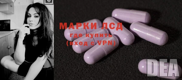 хмурый Алзамай