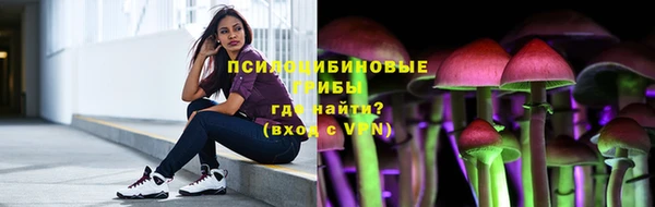 хмурый Алзамай