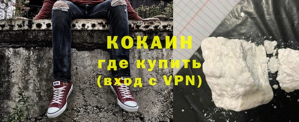 кокс Алексин