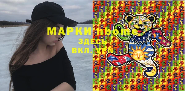 хмурый Алзамай