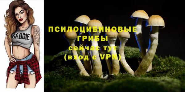 хмурый Алзамай
