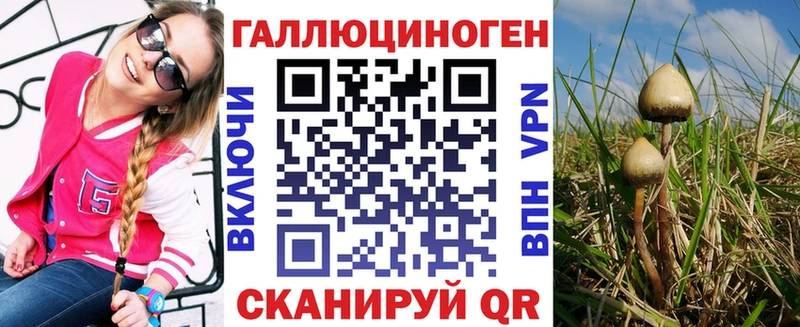 Псилоцибиновые грибы мицелий Бердск