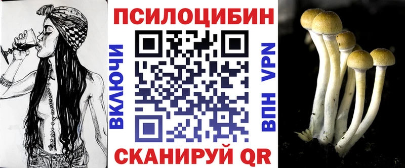 где можно купить   Бердск  Псилоцибиновые грибы MAGIC MUSHROOMS 
