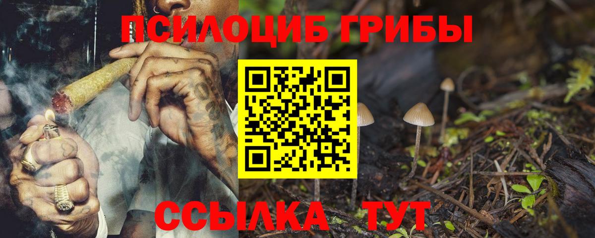 Псилоцибиновые грибы ЛСД  Галлюциногенные грибы GOLDEN TEACHER  Вход с VPN  Бердск 